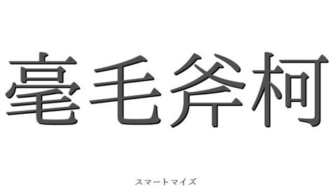 毫毛|毫毛(ゴウモウ)とは？ 意味や使い方